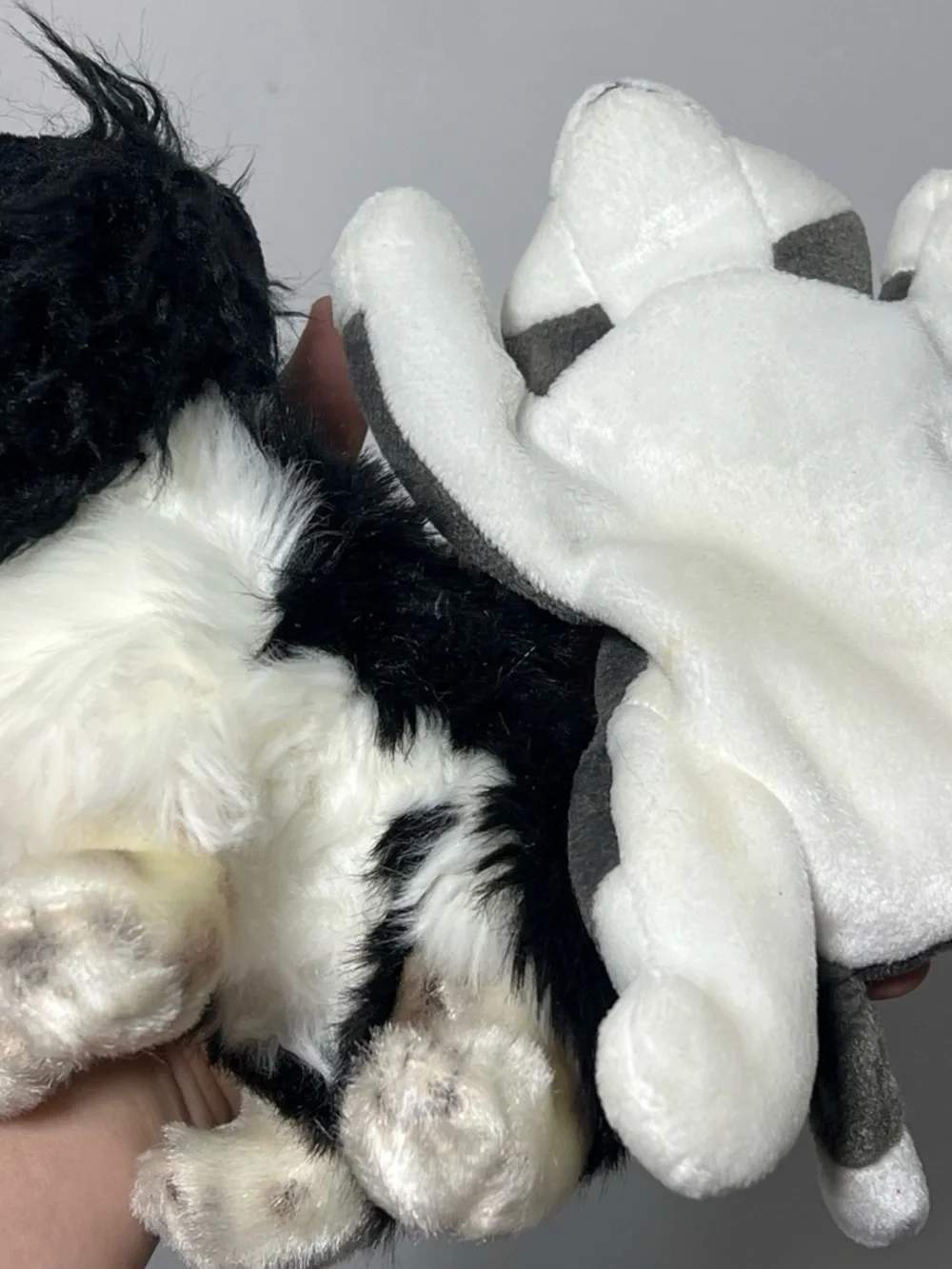Beanie Baby Dog Lot